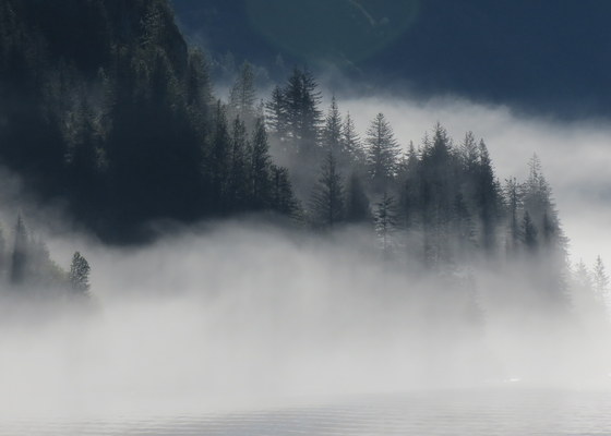 Glacier Bay Alaska