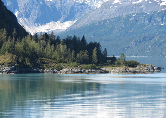 Glacier Bay Alaska