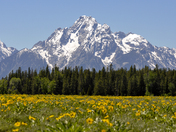 Grand Teton NP