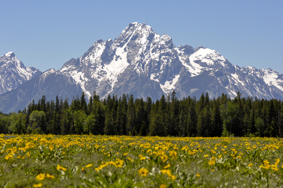 Grand Teton NP