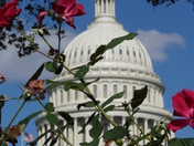 Washington DC