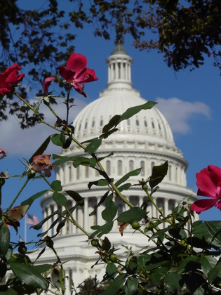 Washington DC