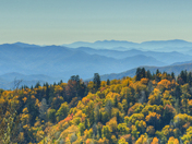 Great Smoky Mountains National Park