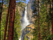 Yosemite National Park