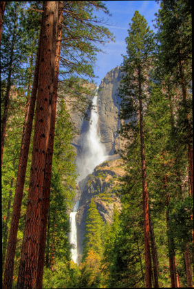 Yosemite National Park