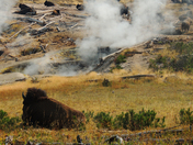 Yellowstone National Park