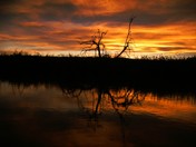 Big Bend