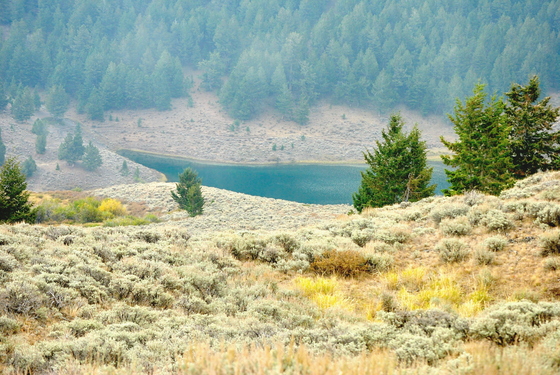 Beaverhead Deerlodge National Forest 