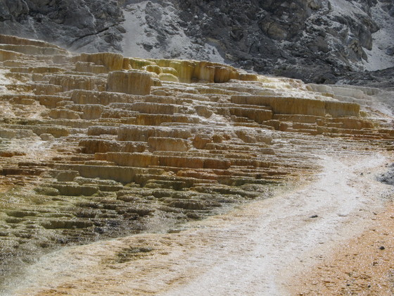 Yellowstone National Park