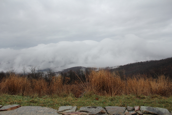 Great Smoky Mountains