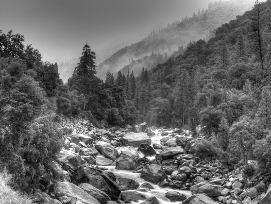 Yosemite National Park