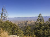 Coronado National Forest