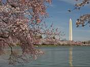 National Mall - Tidal Basin