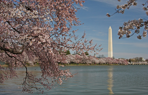 National Mall - Tidal Basin