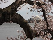 National Mall - Tidal Basin