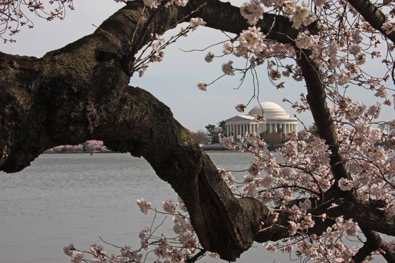 National Mall - Tidal Basin