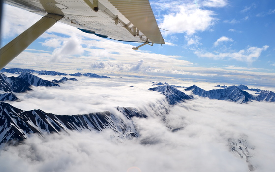 Denali National Park
