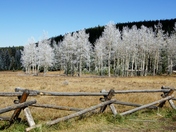 Arapaho National Forest