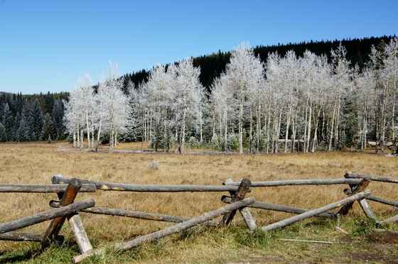 Arapaho National Forest