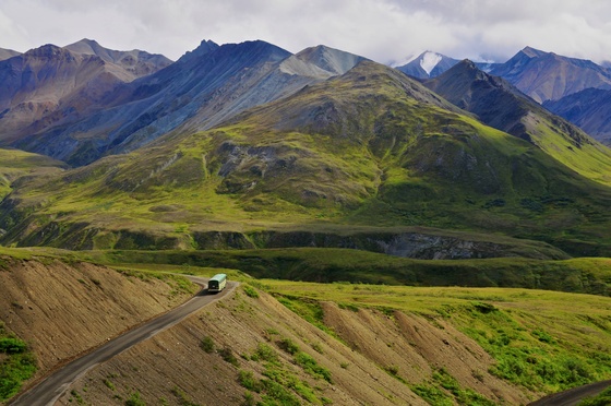 Denali National Park