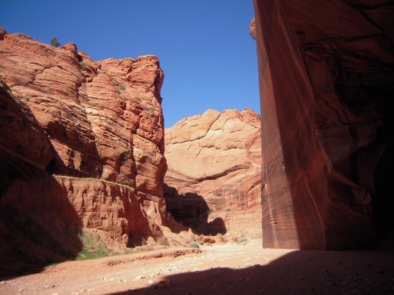 Paria Canyon Vermillion Cliffs Wilderness 