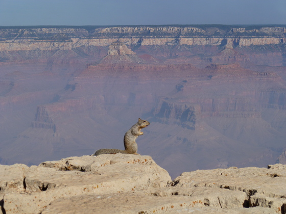 Grand Canyon