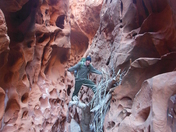 Capital Reef