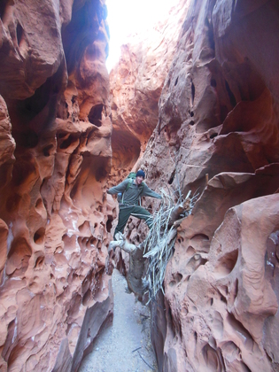 Capital Reef