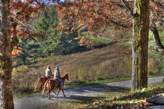 Moses H. Cone Memorial Park