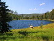 Yellowstone National Park