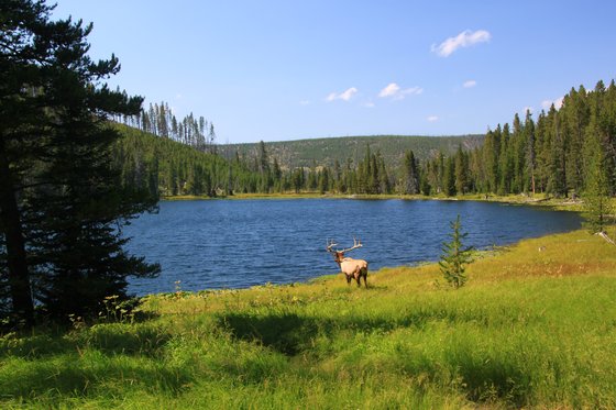 Yellowstone National Park