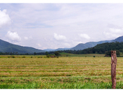 Cades Cove, Great Smoky Mountain National Park, TN