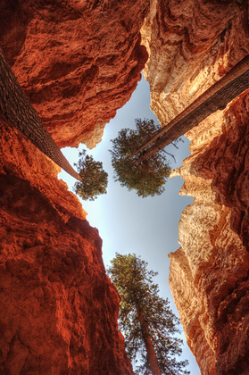 Bryce Canyon National Park