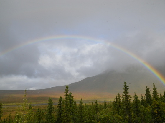 Denali National Park & Preserve
