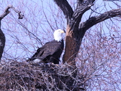 Klamath Basin National Wildlife Refuges