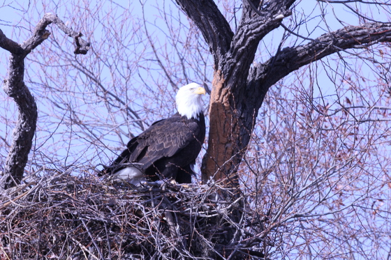 Klamath Basin National Wildlife Refuges