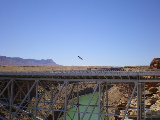 Glen Canyon National Recreation Area