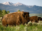 Grand Teton National Park