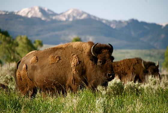 Grand Teton National Park