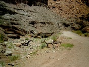 Canyonlands National Park