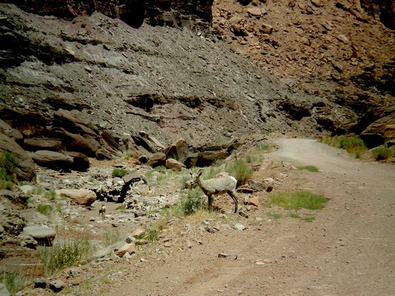 Canyonlands National Park