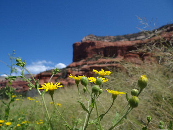 Sedona, Arizona