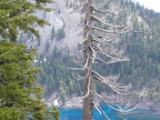 Crater Lake National Park
