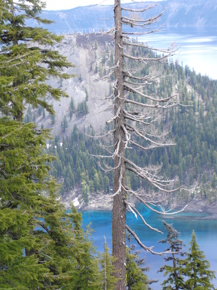 Crater Lake National Park