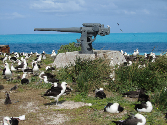 Midway Atoll National Wildlife Refuge