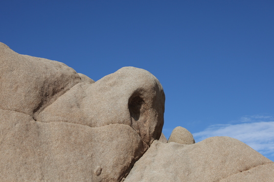 Joshua Tree National Park