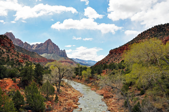 zion NP