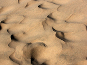 Oregon Dunes National Recreation Area