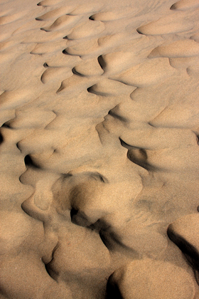 Oregon Dunes National Recreation Area