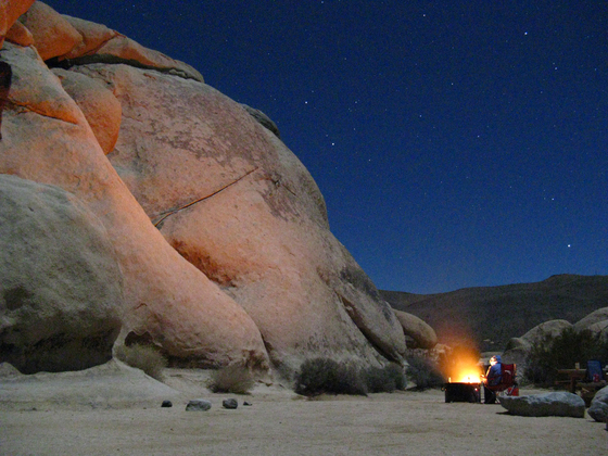 Joshua Tree National Park